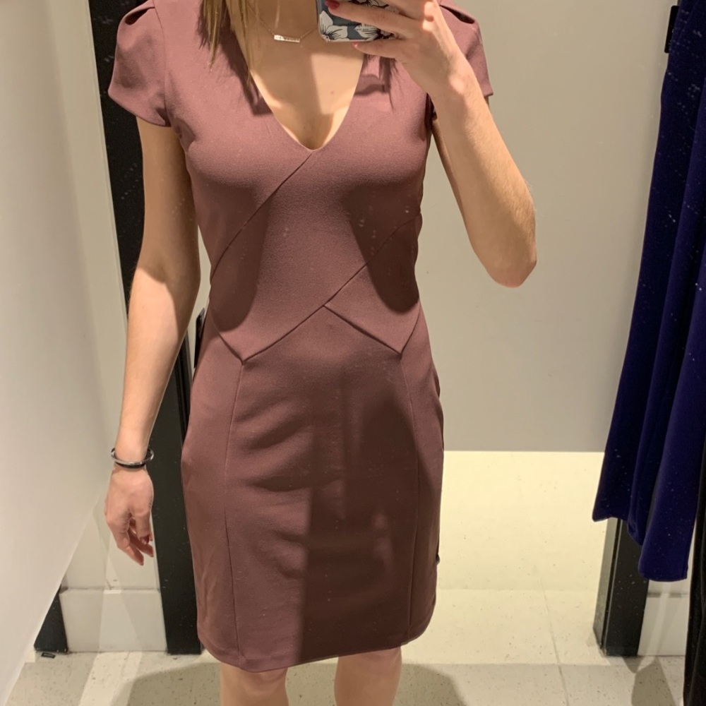 Express Mauve Dress